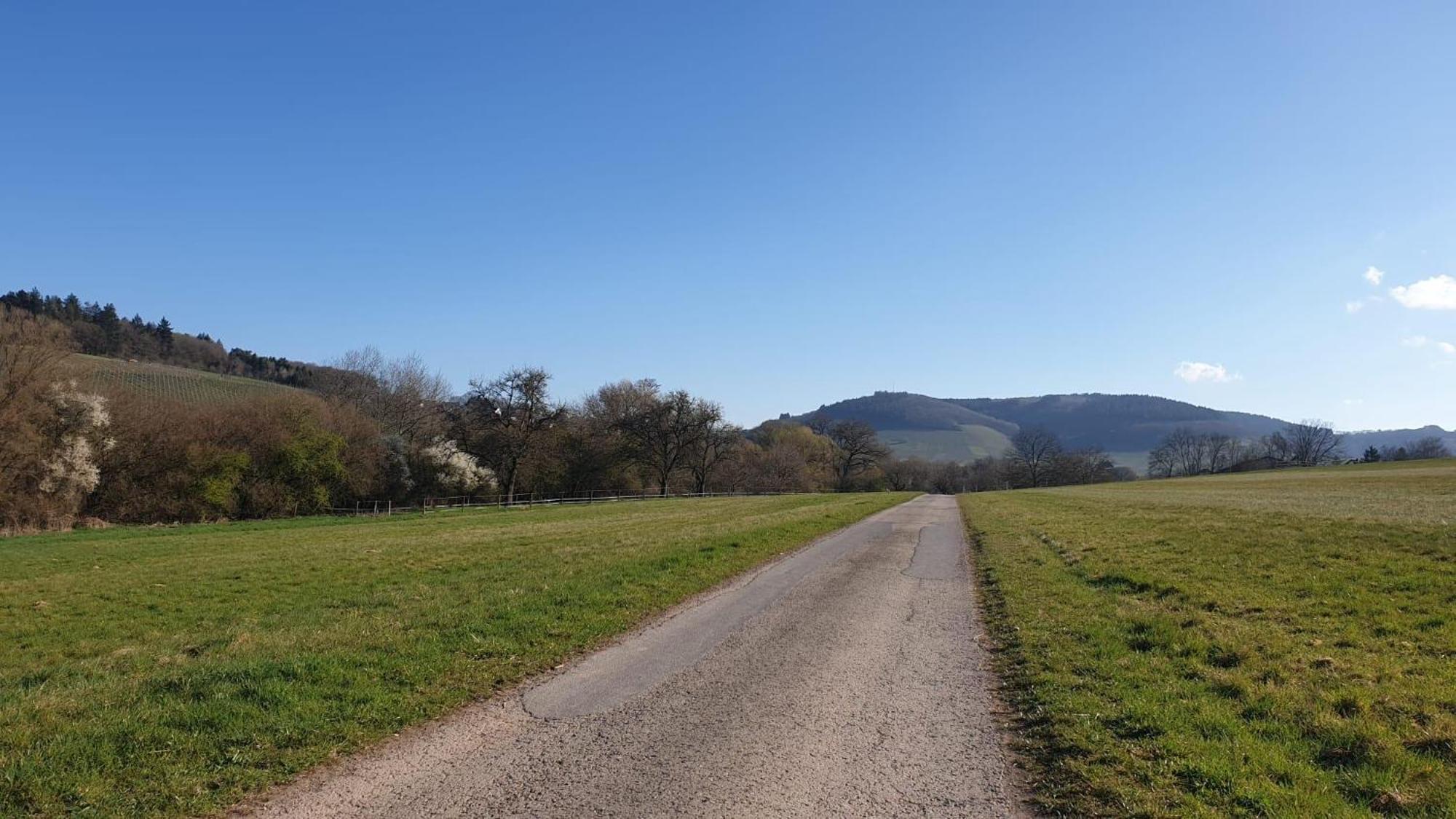 Zimmers Taelchenhof Oberemmel Exteriör bild