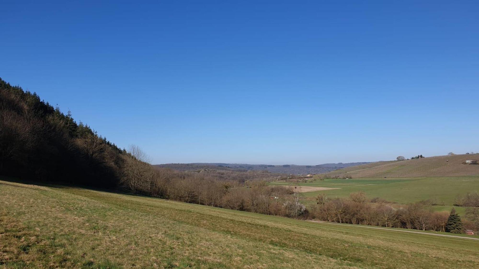 Zimmers Taelchenhof Oberemmel Exteriör bild